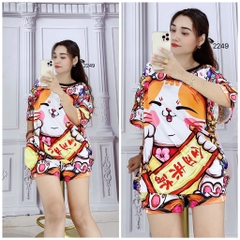Bộ Đùi Nữ L - BN2249