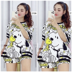 Bộ Đùi Nữ XL - B2136
