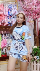 Bộ Đùi Nữ L - BN3167