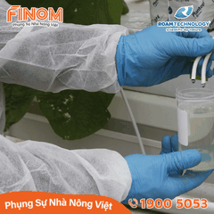 Dung dịch khử khuẩn Huwa-San - Can 5 kg