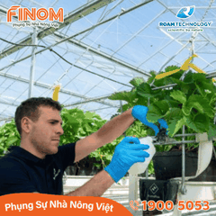 Dung dịch khử khuẩn Huwa-San - Can 5 kg
