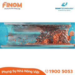 Dung dịch khử khuẩn Huwa-San - Can 5 kg