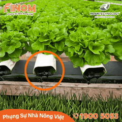 Dung dịch khử khuẩn Huwa-San - Can 5 kg