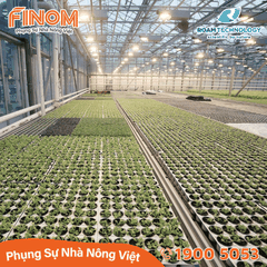 Dung dịch khử khuẩn Huwa-San - Can 5 kg