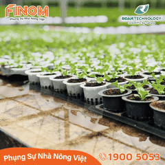 Dung dịch khử khuẩn Huwa-San - Can 5 kg