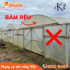 Màng lợp nhà kính 7 lớp K1 khổ 3.2 mét