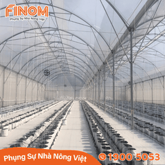 Bạt địa phủ đất nông nghiệp 120 gram/m²