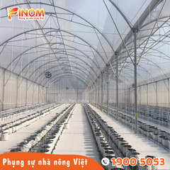 Bạt địa phủ đất nông nghiệp màu trắng 180 gram/m2