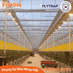 Bẫy dính côn trùng FLYTRAP (dạng cuộn)