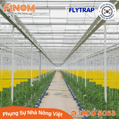 Bẫy dính côn trùng FLYTRAP (dạng cuộn)