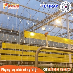 Bẫy dính côn trùng FLYTRAP (dạng cuộn)