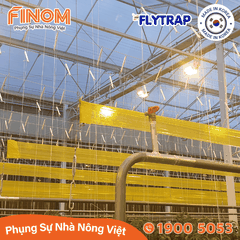 Bẫy dính côn trùng FLYTRAP (dạng cuộn)