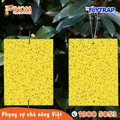 Bẫy dính côn trùng FLYTRAP (dạng tấm)