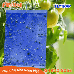 Bẫy dính côn trùng FLYTRAP (dạng tấm)