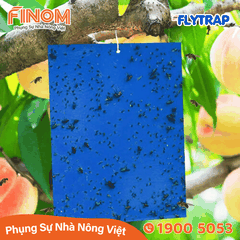 Bẫy dính côn trùng FLYTRAP (dạng tấm)