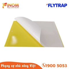 Bẫy dính côn trùng FLYTRAP (dạng tấm)