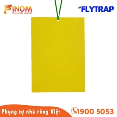Bẫy dính côn trùng FLYTRAP (dạng tấm)