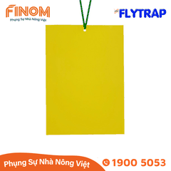 Bẫy dính côn trùng FLYTRAP (dạng tấm)