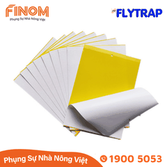 Bẫy dính côn trùng FLYTRAP (dạng tấm)