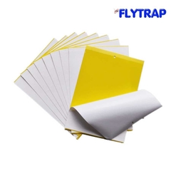 Bẫy dính côn trùng FLYTRAP (dạng tấm)