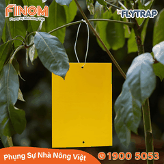 Bẫy dính côn trùng FLYTRAP (dạng tấm)