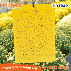Bẫy dính côn trùng FLYTRAP (dạng tấm)