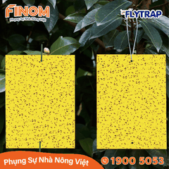 Bẫy dính côn trùng FLYTRAP (dạng tấm)