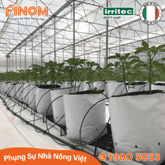 Que cắm nhỏ giọt Irritec 15 cm