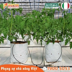 Bộ nhỏ giọt bù áp chia 4 ghim tưới KH4 Irritec