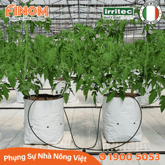 Bộ nhỏ giọt bù áp chia 4 ghim tưới KH4 Irritec