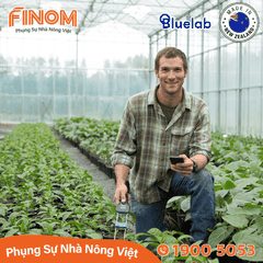 Bút đo cầm tay EC giá thể và đất Bluelab