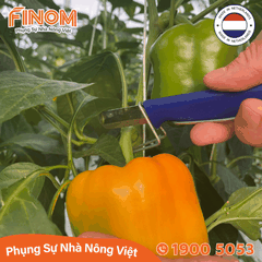 Dao cắt thu hoạch trái Harvest