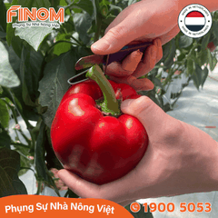 Dao cắt thu hoạch trái Harvest