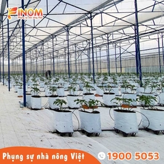 Sợi se nông nghiệp (cuộn 3 kg)