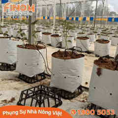 Đế lót túi giá thể F2