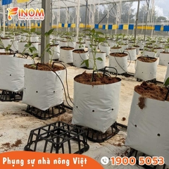 Đế lót túi giá thể F2