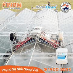 Dung dịch rửa sơn chống nóng chuyên dụng ReduClean