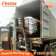 Giá thể xơ dừa ươm cây Coco Boost