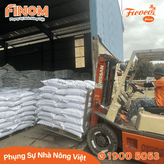 Giá thể xơ dừa ươm cây Coco Boost