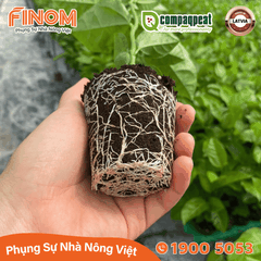 Giá thể ươm cây peat moss QTS