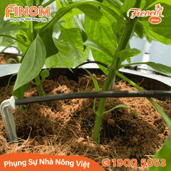 Giá thể xơ dừa xử lý Canxi 50/50