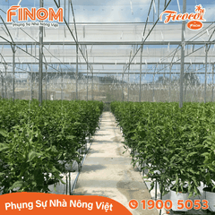 Giá thể xơ dừa xử lý Canxi 70/30