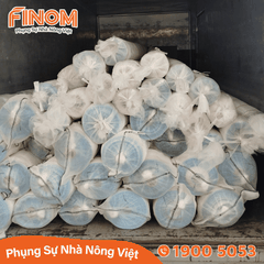 Lưới chống côn trùng Đài Loan 50 mesh Khổ 3.6 x 100 mét