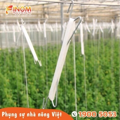 Móc cánh bướm treo cà chua