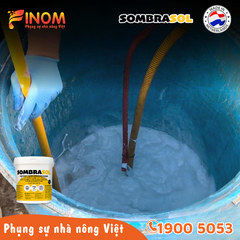 Sơn chống nóng nhà màng Sombrasol