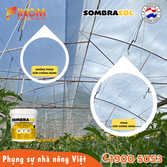 Sơn chống nóng nhà màng Sombrasol