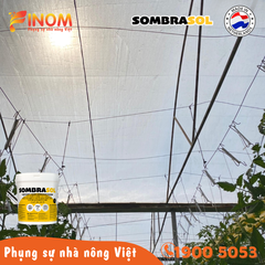 Sơn chống nóng nhà màng Sombrasol