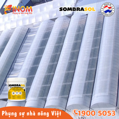 Sơn chống nóng nhà màng Sombrasol