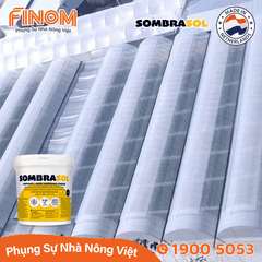 Sơn chống nóng nhà màng Sombrasol