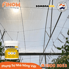 Sơn chống nóng nhà màng Sombrasol